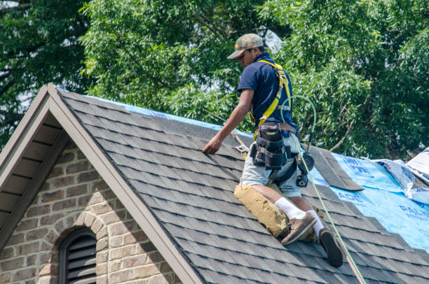 Best Local Roofing Companies  in St Clair, MO